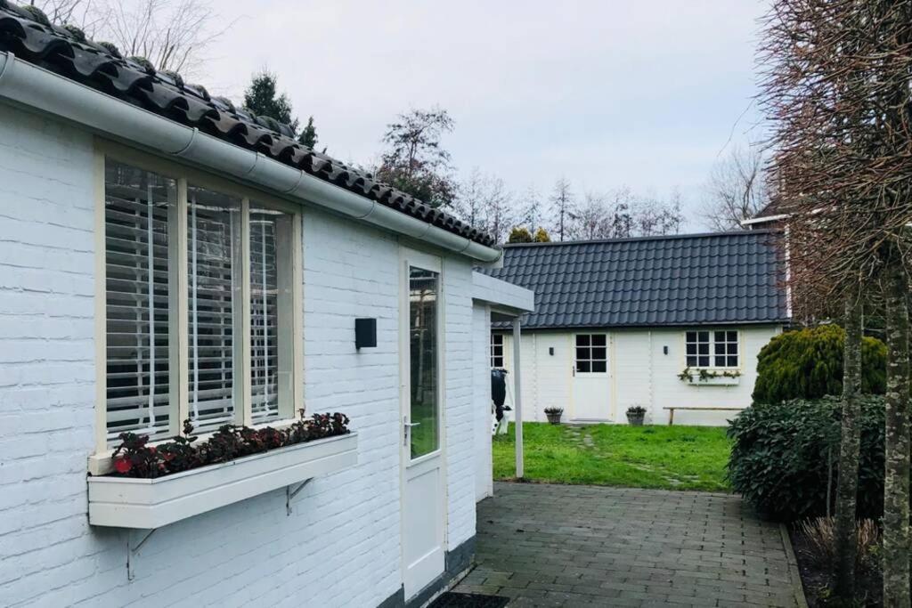 Tiny House In Tuin Van De Statige Villa Mariahof Dordrecht Exteriér fotografie